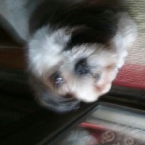 Meet your Posher, Andrea